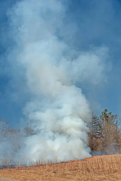 Dramatic Smoke Rising Prairie Burn Spring Valley Nature Center Schaumburg — Stock Photo, Image