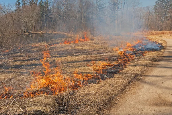 Start Controlled Prairie Burn Spring Valley Nature Center Schaumburg Illinois — Stock Photo, Image