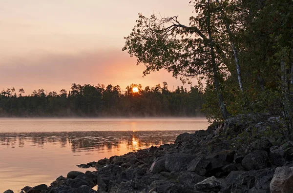 Sun Peeking Attraverso Albero Nebbia Del Mattino Sul Lago Saganaga — Foto Stock