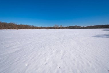 Illinois 'deki Bahar Gölü Koruma Alanında Kar Altında Otlaklar