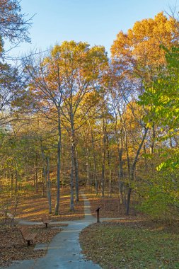 Illinois 'deki Rim Rock Ulusal Patikası' nda Sonbahar Ormanı 'nda Davet Yolu