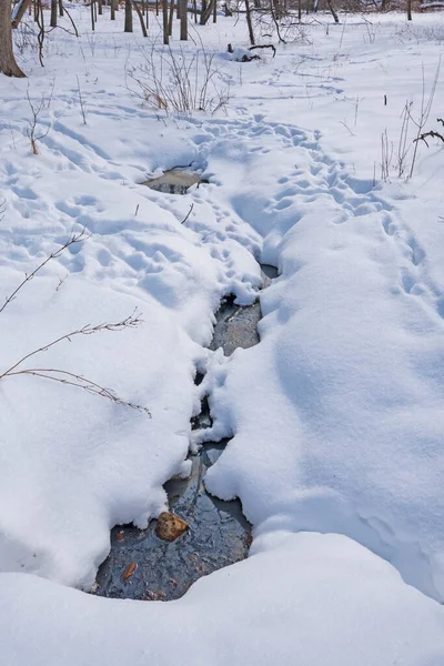 Diersporen Door Een Open Stroom Winter Crab Tree Nature Center — Stockfoto