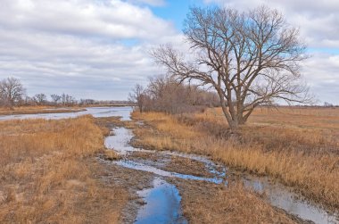 Kearney, Nebraska yakınlarındaki Platte Nehri 'nin Büyük Ovaları' nın Kanalı.
