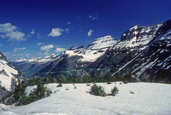 Summer Snow Jagged Mountains Logan Pass Glacier National Park — Stock Photo, Image