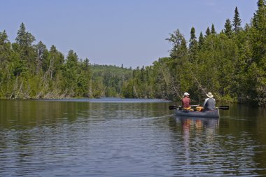 Kuzey ormanlarına göle doğru canoers