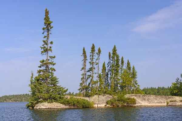 Geïsoleerde Pines op een rotsachtig eiland — Stockfoto