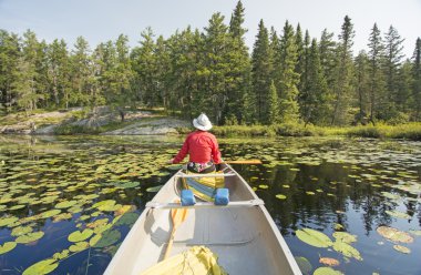 Canoer zambak yastıkları rahatlatıcı