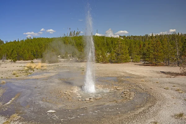Piccolo geyser eruzione — Foto Stock