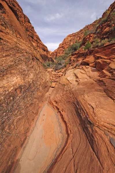 Keskeny kanyon a sivatagban — Stock Fotó