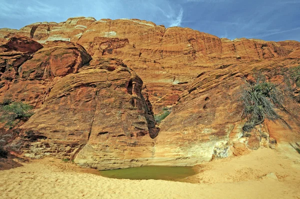 Buraco de água do deserto sob penhascos de rocha vermelha — Fotografia de Stock