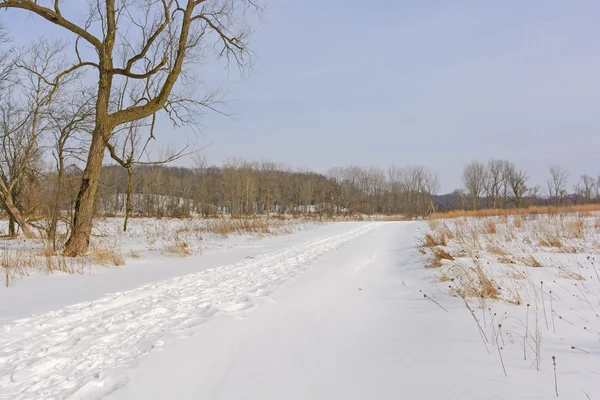 Serene path in the Winter — Stock Photo, Image