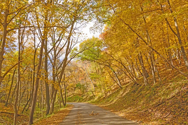 Estrada rural em um dia de queda — Fotografia de Stock