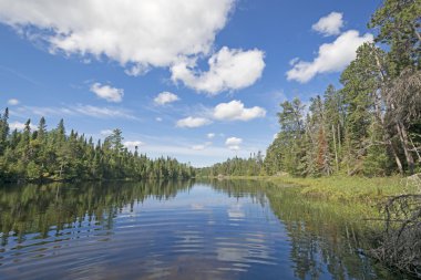 Kuzey ormanlarına korunaklı koyda