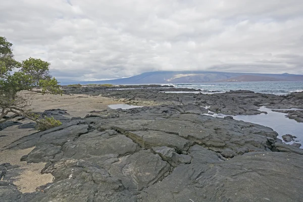 Lava et sable dans les Galapagos — Photo