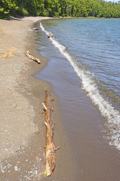 Driftwood i fale na plaży zdalnego — Zdjęcie stockowe