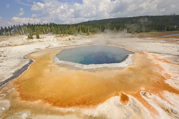 Piscina variopinta in un giorno d'autunno — Foto Stock