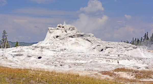 Geyser kon på en solig dag — Stockfoto