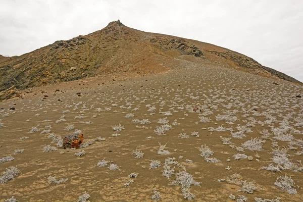 Paysage volcanique sur une île éloignée — Photo