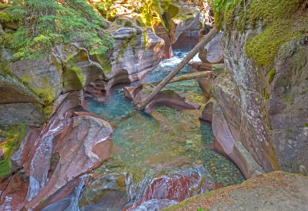 Canyon erodido de um córrego da montanha — Fotografia de Stock