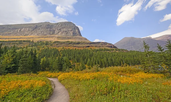 Bir dağ vadi dramatik sonbahar renkleri — Stok fotoğraf