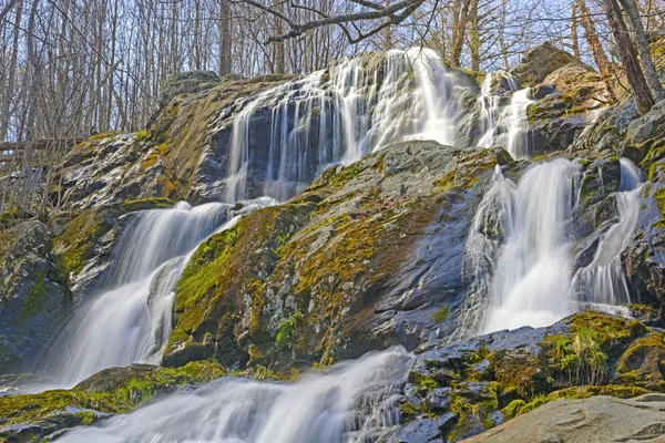 Rushing Cascade in the Early Spring — Stock Photo, Image