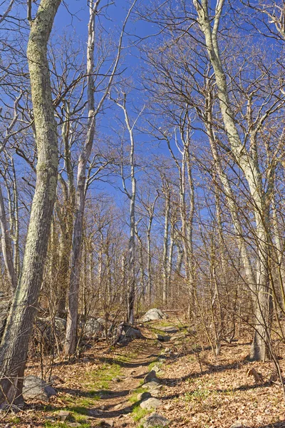 Hacia un sendero de montaña a principios de primavera — Foto de Stock