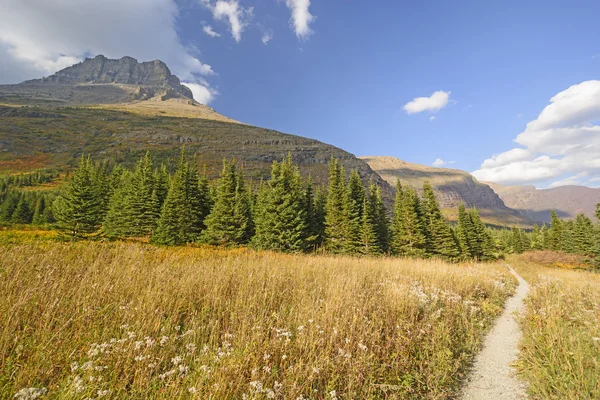 Mountain Meadow en un día soleado de otoño —  Fotos de Stock