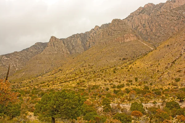 Mäktiga berg i en High Desert — Stockfoto