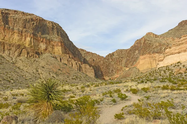 Externe trail in de woestijn — Stockfoto
