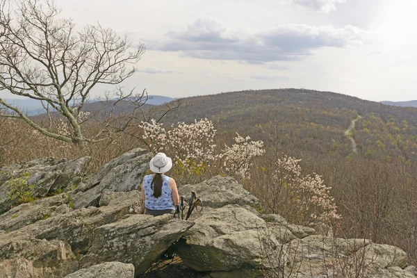 Élvezi a kora tavaszi Mountain View — Stock Fotó