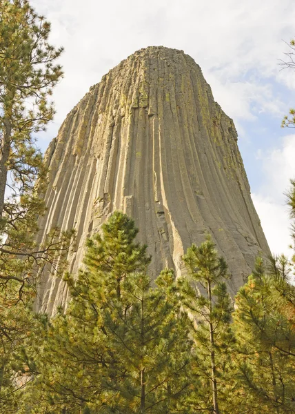 Devils Tower inspecteren uit van de Pines — Stockfoto