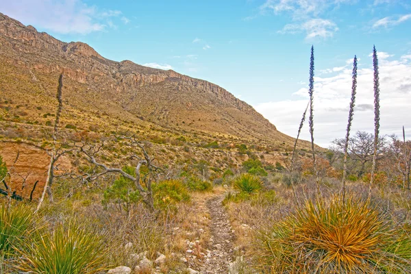 Sentiero remoto in un canyon desertico — Foto Stock