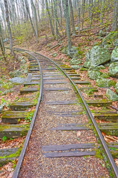 Estrada de ferro velha na floresta — Fotografia de Stock