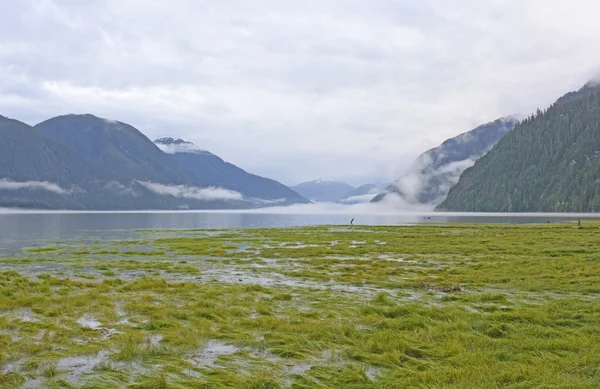 Hoog tij in een mistige Fjord — Stockfoto
