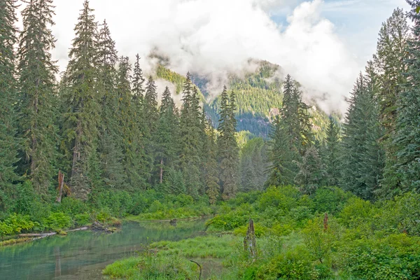 Nuvole mattutine sulle montagne costiere — Foto Stock