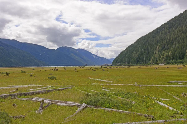 Former Harber Filled by Glacial Silt Stock Photo