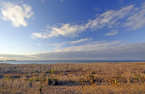 Panorama de uma ilha do deserto — Fotografia de Stock