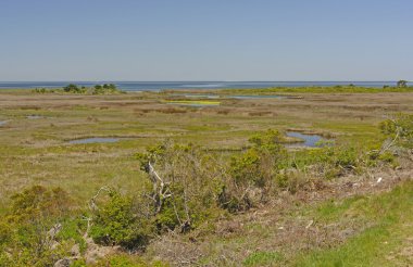 Sulak bir bariyer adada