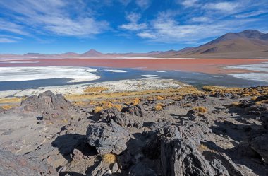 Bolivya Altiplanosundaki Laguna Colorada tuz gölünün panoramik görüntüsü
