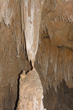 Dikit Damlataş karşılar