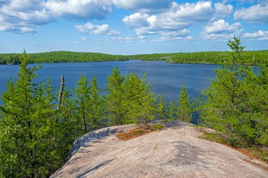 Uzak Kuzey Ormanı 'ndaki Göl ve Orman Minnesota' daki Sınır Suları 'nda Alp Gölü' nde
