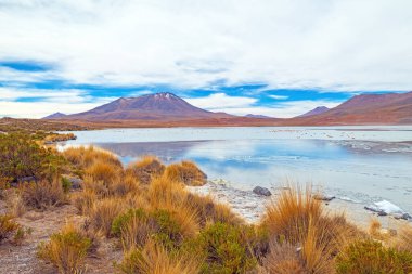 Bolivya 'nın yüksek dağlarındaki çorak arazi Salar de Uyuni' de.