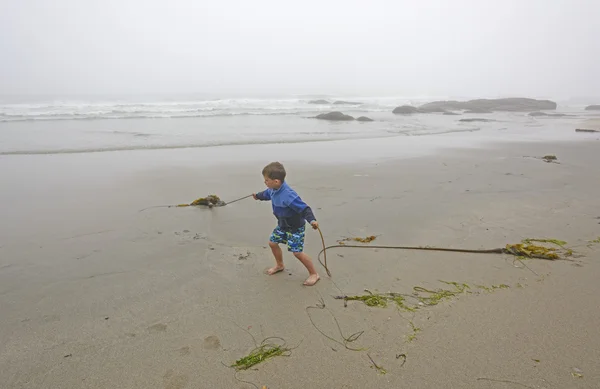 Junge spielt mit Seetang am Strand im Nebel — Stockfoto