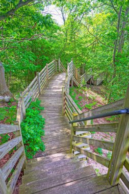 Ormandaki Boardwalk ve Stairway Michigan 'daki Flower Creek Kumulları Doğal Alanında Korunuyor