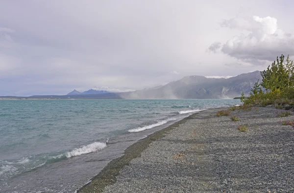 Viento y olas a lo largo de un lago remoto — Foto de Stock