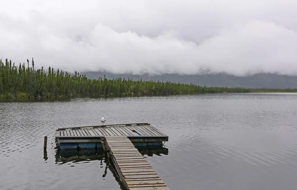 Eenzame Dock op een bewolkte dag — Stockfoto