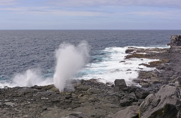 Blowhole sur une côte accidentée — Photo