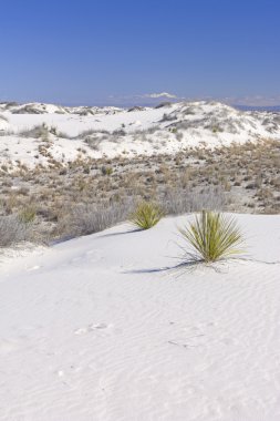 Beyaz kum ve karlı dağlar