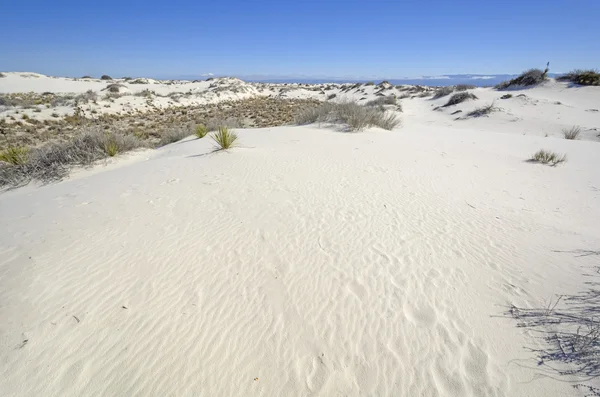 Vit sand på kall solig morgon — Stockfoto