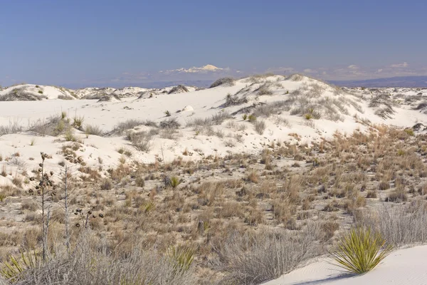 White Sands beneath the Mountains — Stock Photo, Image